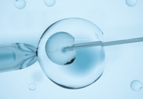 广州供卵试管代怀生子医院排名，附供卵生男孩费用一览！_有没有代怀女