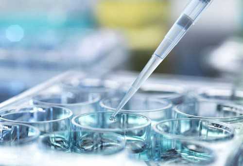 ，卵泡发育不好促排效果好卵泡发育不好能不能促排