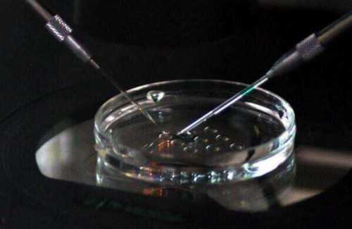 三代代怀机构-取35个卵泡是不是不好 试管取卵取了35个卵泡