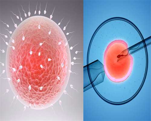 代怀助孕机构-移植后吃什么易着床？