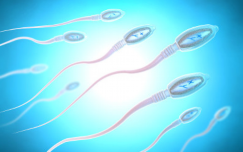 美国试管婴儿费用~试管代生男孩