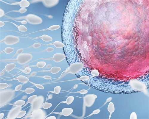 大连代怀代怀中介 大连宝宝上户口条件 ‘七个月b超看男女图’