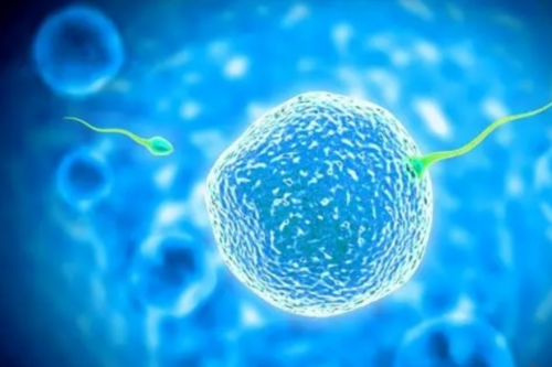 正规代孕电话-子宫内膜癌护理评估