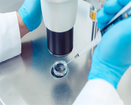 重庆代怀生代怀机构 2026年重庆产假最新政策 ‘b超单数据看男女’