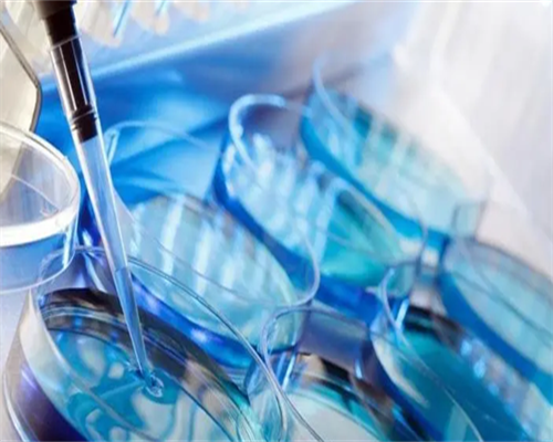 试管供卵费用-马来西亚三代试管婴儿技术优势一览