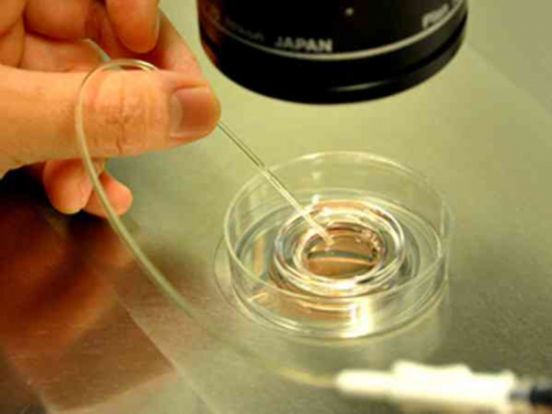 西安代孕哪家便宜,做三代试管婴儿还会胎停吗？-西安哪里供卵试管婴儿-上海私