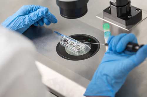 失独家庭助孕-军人试管申请流程(部队申请试管婴儿步骤)