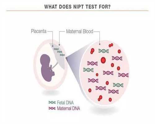 高龄移植冻胚最佳时间是多久？冻胚移植时间怎么定？