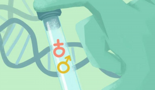 现在可以生第三个孩子了吗？最新三胎政策解读