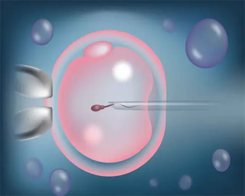 重庆供卵试管代怀代怀 重庆试管婴儿哪个医院做的最好? ‘彩超看男女’