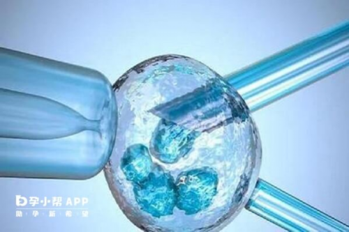 武汉代怀宝宝合法吗,2026武汉市试管代怀生子机构排名，附试管助孕机构名单！