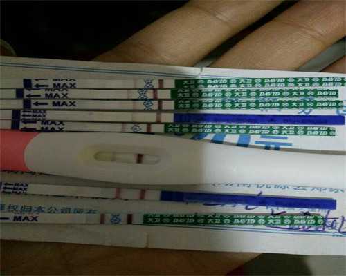 广州一机构被指为同志家庭提供商业代孕，相关部门已介入，员工：已暂停相关