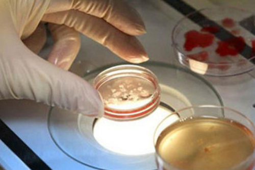 “久不孕”的根因,可能和卵巢保养有关！