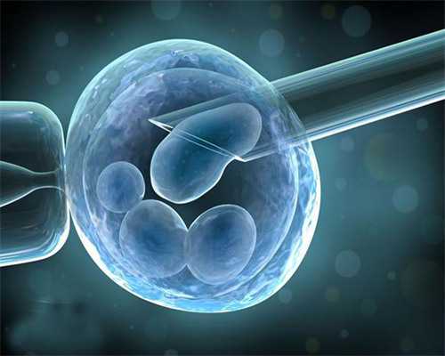 借卵代生代怀-泰国试管婴儿胚胎解除冻结会危害试管胚胎品质