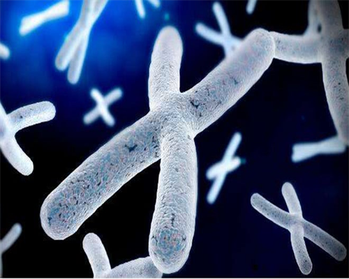 代生孩子机构-试管降调打贝依14天之后可以运动吗？