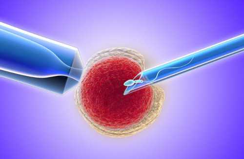 西安试管代孕靠谱吗,西安供卵试管婴儿包生男孩医院排名？附试管助孕医院名