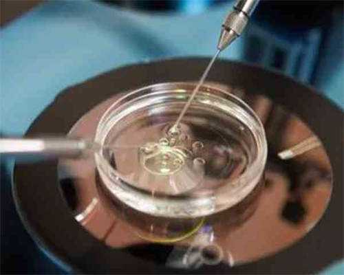 正规代生机构-西安当地最出名的不孕不育医院是哪个-西安不孕不育医院排名榜？