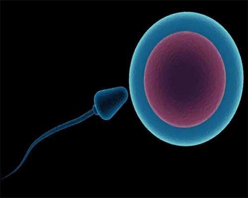 西安代怀孕公司吗,西安有偿捐卵联系方式,个人有偿捐卵联系方式