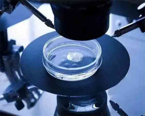 试管婴儿机构-西安泰国试管婴儿多少钱（共计94264元）