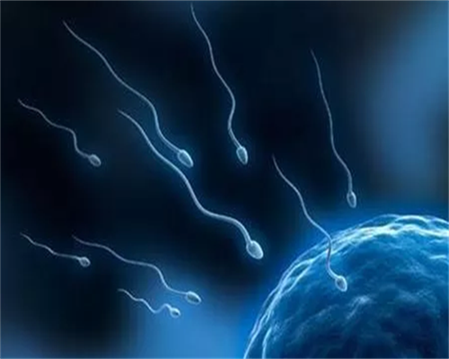 2026上海三代试管借卵代怀生男孩单周费用明细一览：第三方助孕价格明细一览