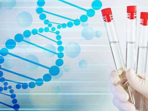 西安试管代孕医院网站,西安地下捐精联系方式,西安地下精子库微信群