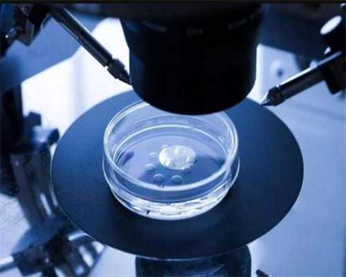 西安找代孕公司靠谱的,北京协和医院做三代试管婴儿供卵费用大概要多少钱？