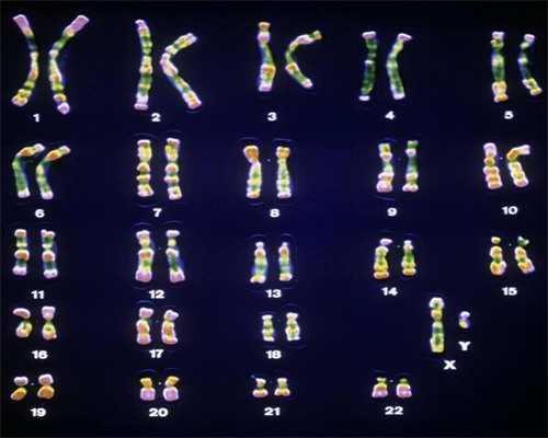 助孕供卵-试管提高卵子质量的方法如何提高卵子质量