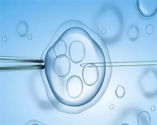 西安代孕医院有几家,西安精子库政策,国外精子库申请精子流程