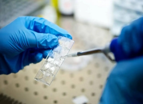 西安代生公司在哪,北京排名最好的供卵机构有哪些，18家有3家可以开展三代供