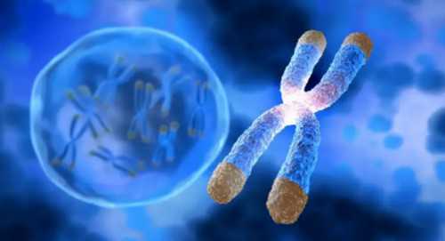 西安代孕包成功在哪,试管婴儿打促排卵针痛苦吗 不要太害怕-西安专业供卵试管