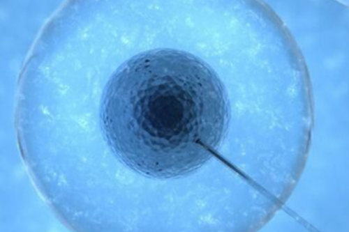 胚胎移植后的饮食注意事项~代怀子机构