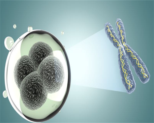 西安试管代孕取卵多少钱,【你必须知道】西安私立医院可以做三代试管婴儿吗