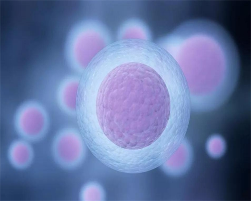 西安有代怀医院吗,泰国试管做男孩价格 泰国三代技术性价比高-西安的供卵机构