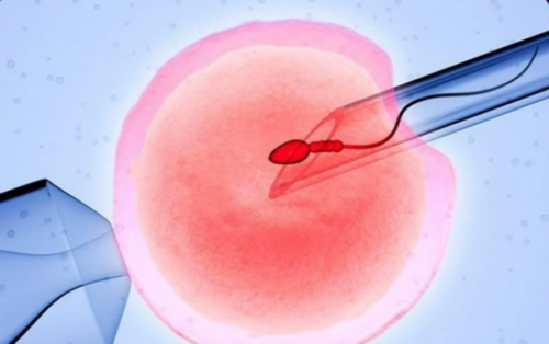 供卵产子费用-宫腔粘连医保报销吗！宫腔粘连能不能报销！