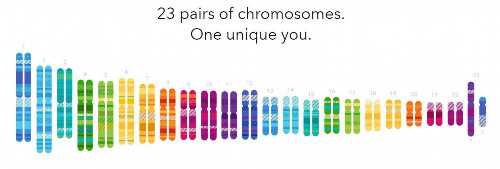 2026
武汉市试管代怀生子机构排名，附试管助孕机构名单！_代怀中介哪家好