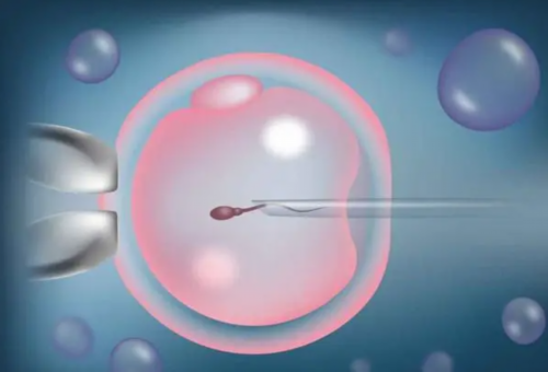 西安代生最低价格,到泰国做试管婴儿是真的很痛苦吗？看真相怎么样-做试管婴