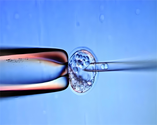 哪些进口奶粉有问题