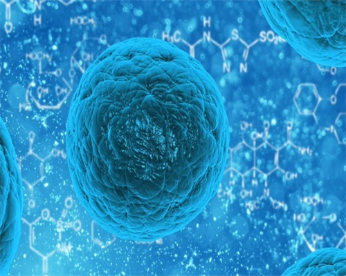 西安代孕包成功总费用是多少,西安唐都医院的第三代试管婴儿是最好的吗