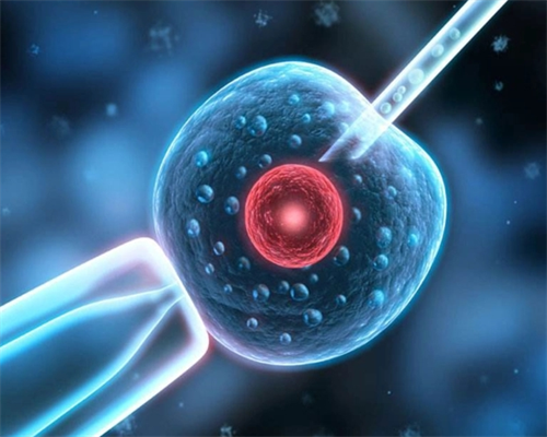 卵巢早衰中医治疗？卵巢早衰西医治疗？卵巢早衰中医治疗效果好还是西医治疗效果好？