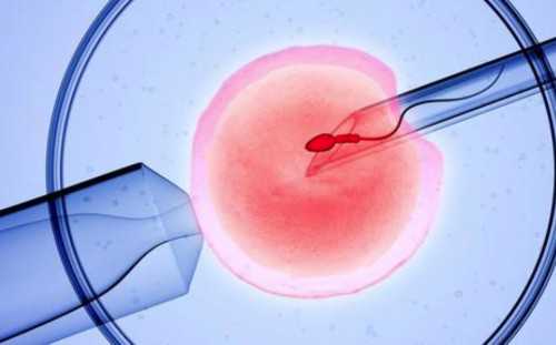 西安试管代怀资料,做试管婴儿检查男人要去几次_西安哪里供卵试管-南京三代供