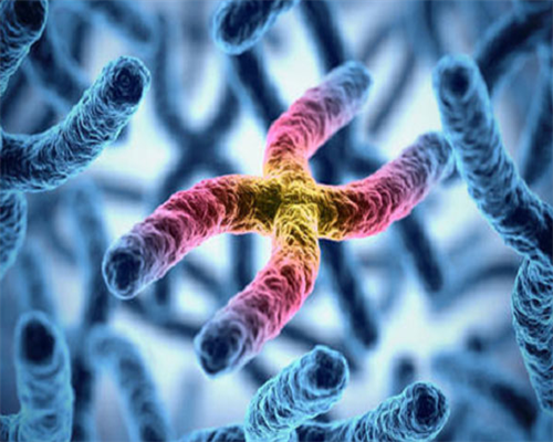 西安供卵代生技术,乙肝大三阳通过泰国第三代试管婴儿技术助孕希望大吗?_西安