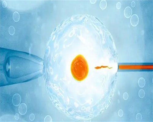 西安代怀孕网电话,【仁济试管进周】12月18日-第四诊-进周流程_西安做供卵试管