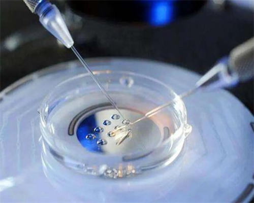 代孕机构咨询-如何提高胚胎着床成功率