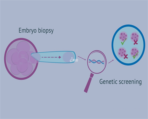 武汉代怀宝宝合法吗,2026武汉市试管代怀生子机构排名，附试管助孕机构名单！