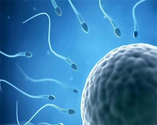 西安代生大概费用,试管婴儿需要什么准备-西安有供卵的医院吗-供卵试管价格表