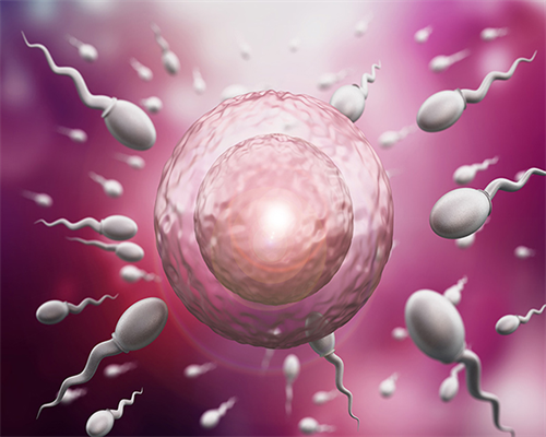 2026北京三代试管借卵代怀生男孩单周费用明细一览：第三方助孕价格明细一览