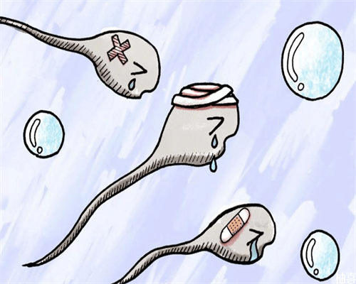 西安试管代孕正规医院,高血压对柬埔寨试管婴儿周期有影响吗？-供卵怎么选