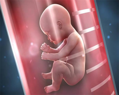 西安代孕网站有几家,咸阳三代试管河北成功案例三代试管儿西安赴美生子