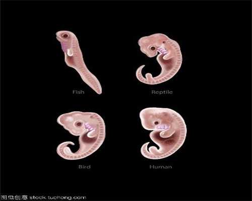 西安代怀孕包选性别_孕6月感冒对胎儿的影响