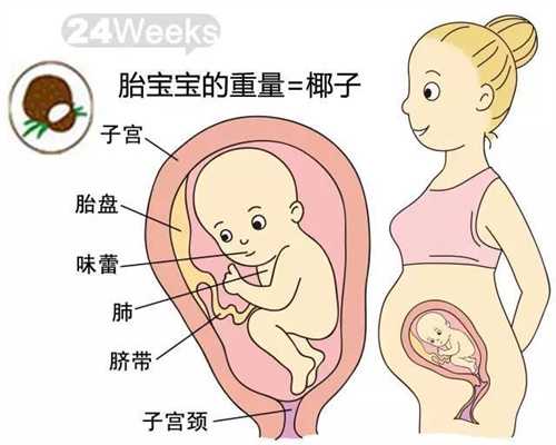 西安代孕的方式_西安代孕试管流程_怀孕九个月感冒咳嗽怎么办